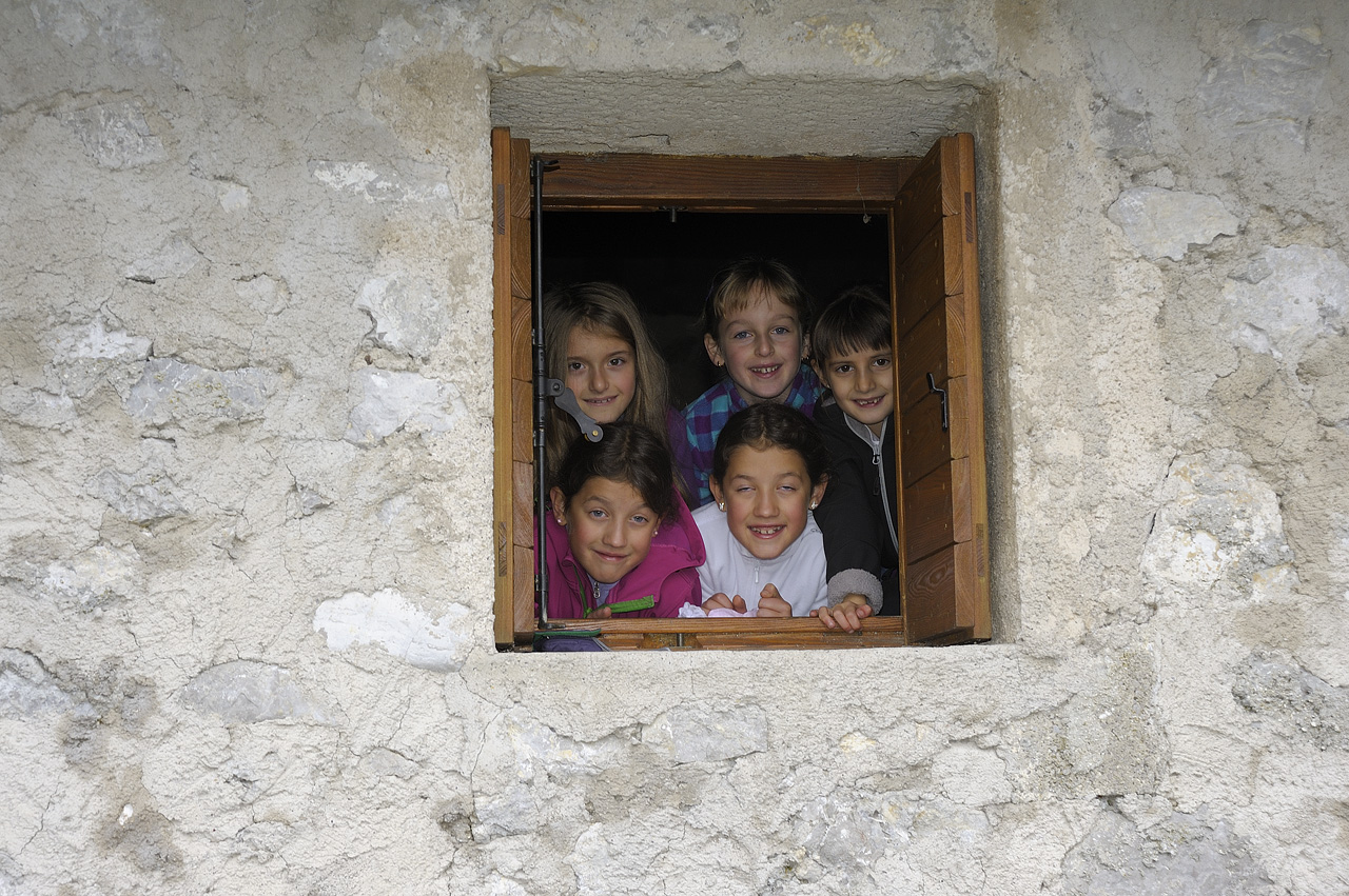 nisch_WINDOW'S FIVE