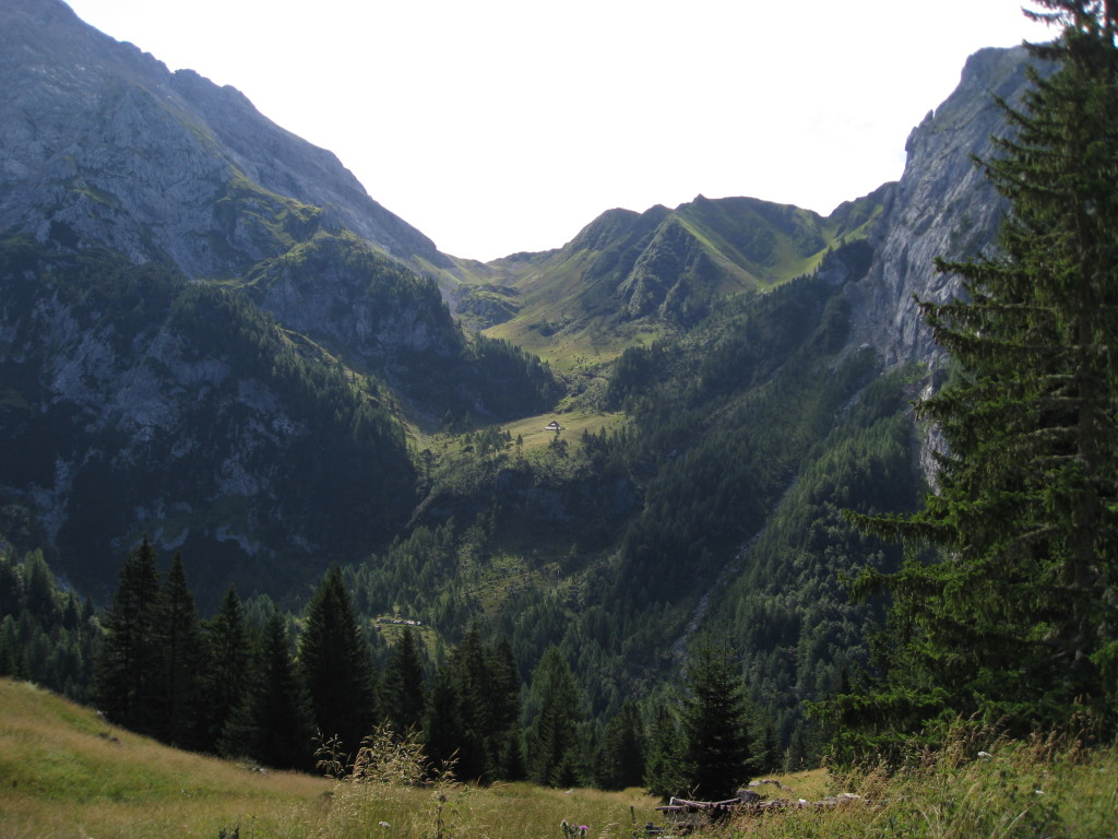 BORDAGLIA_5
