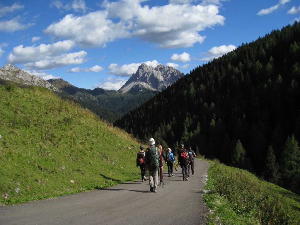 CAVALLINO_25