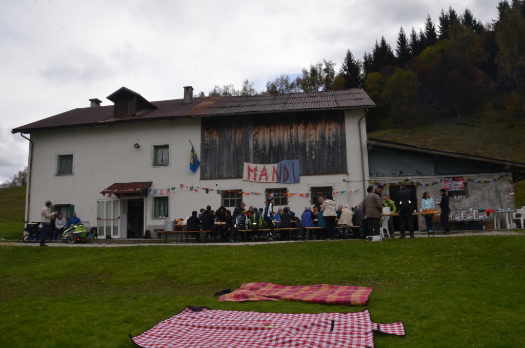 PLAMALINE_22