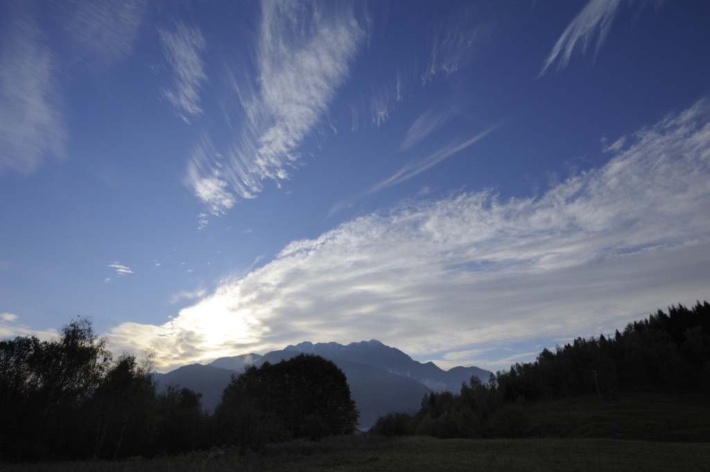 PLAMALINE_7