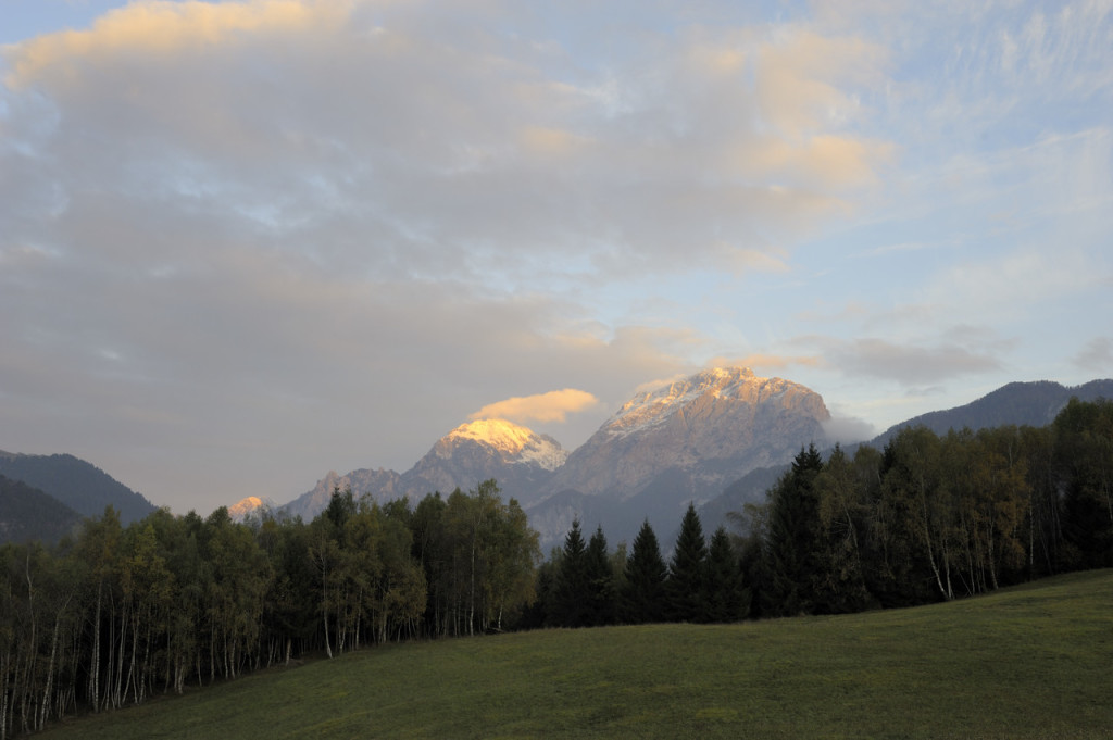 PLAMALINE_8_DSC5885