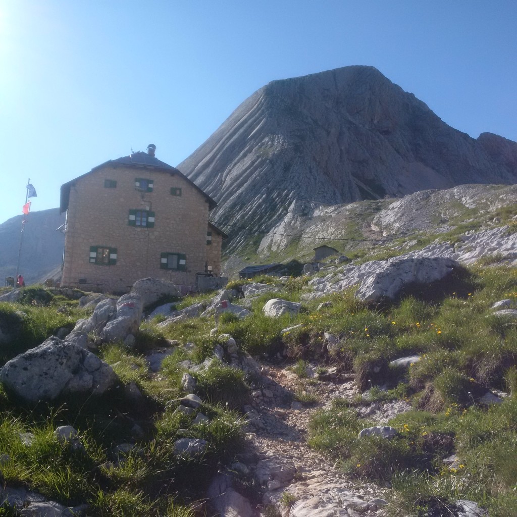 CRODA_17