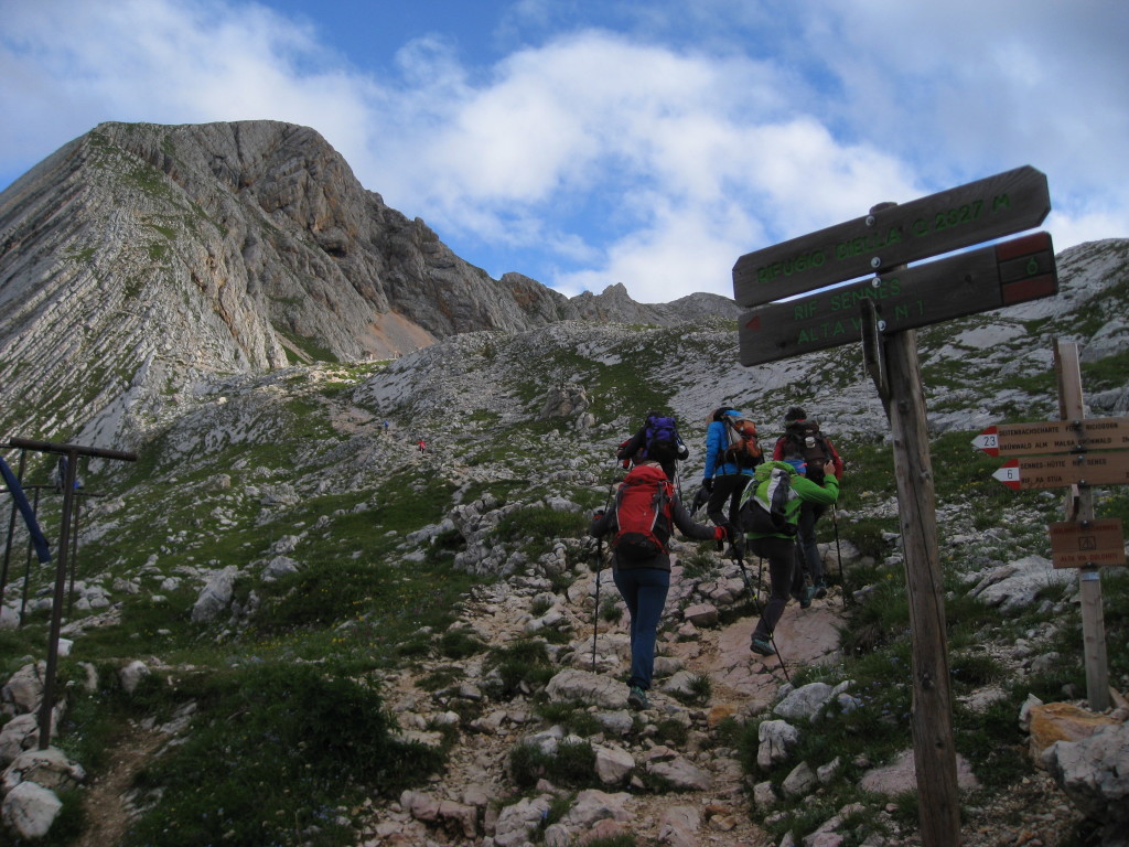 CRODA_20