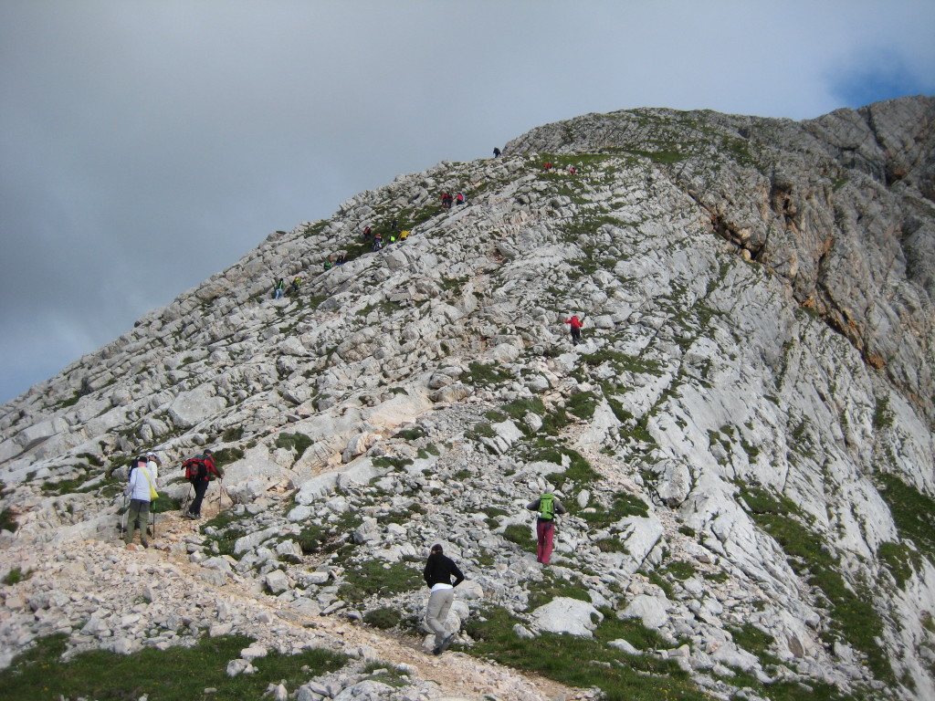 CRODA_21