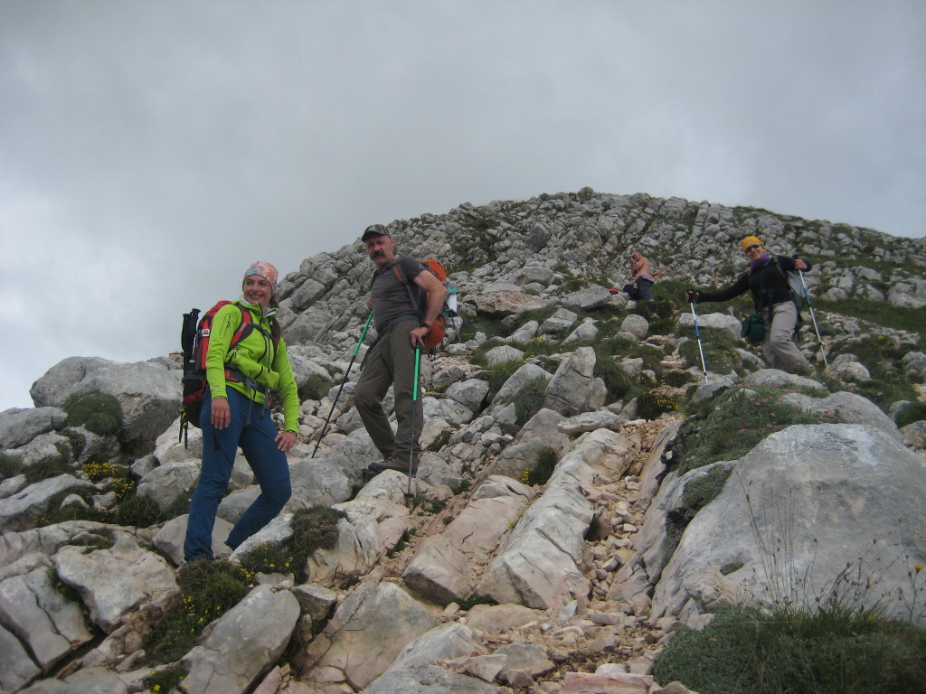 CRODA_25