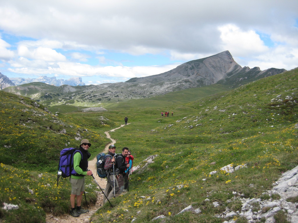 CRODA_30