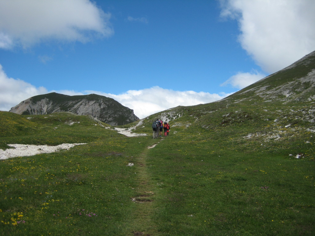 CRODA_32