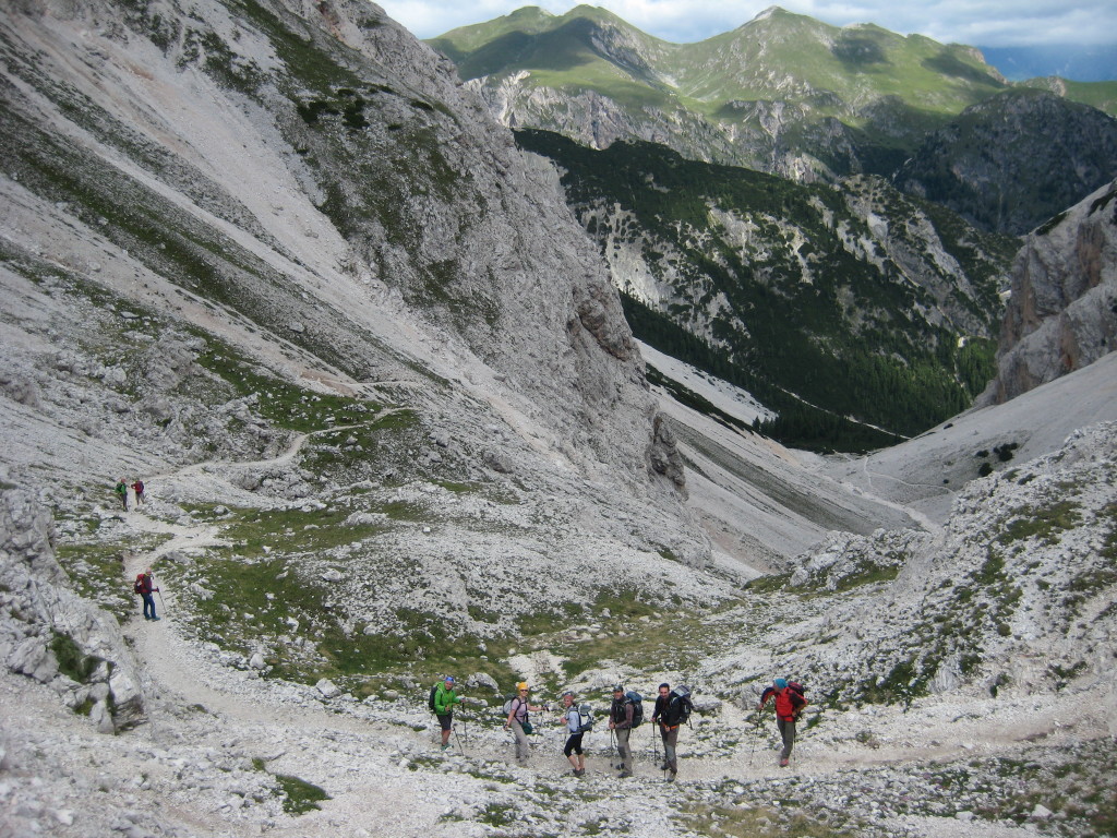 CRODA_33
