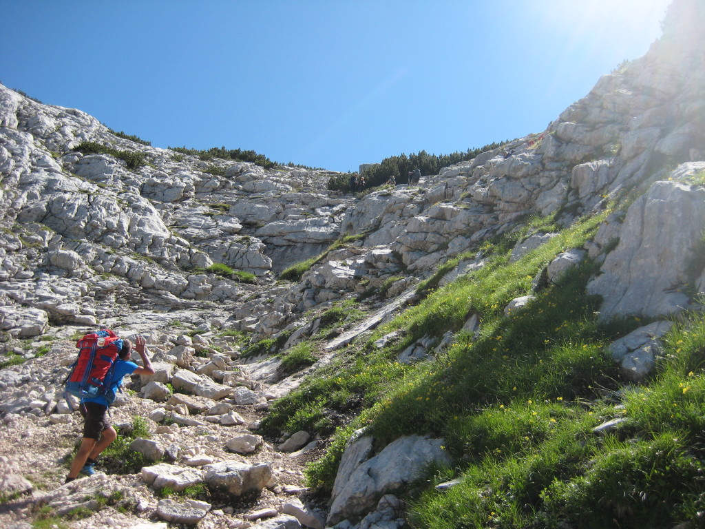 CRODA_6