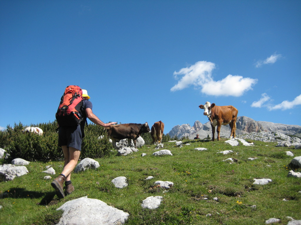 CRODA_8