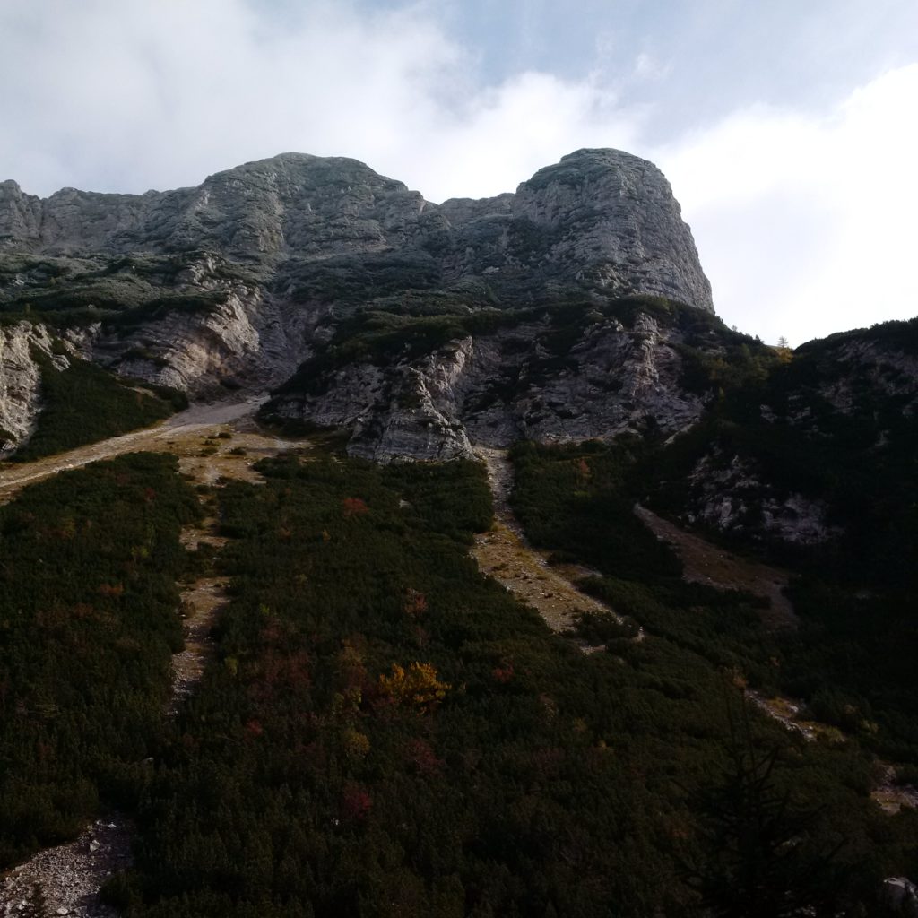 velika_4