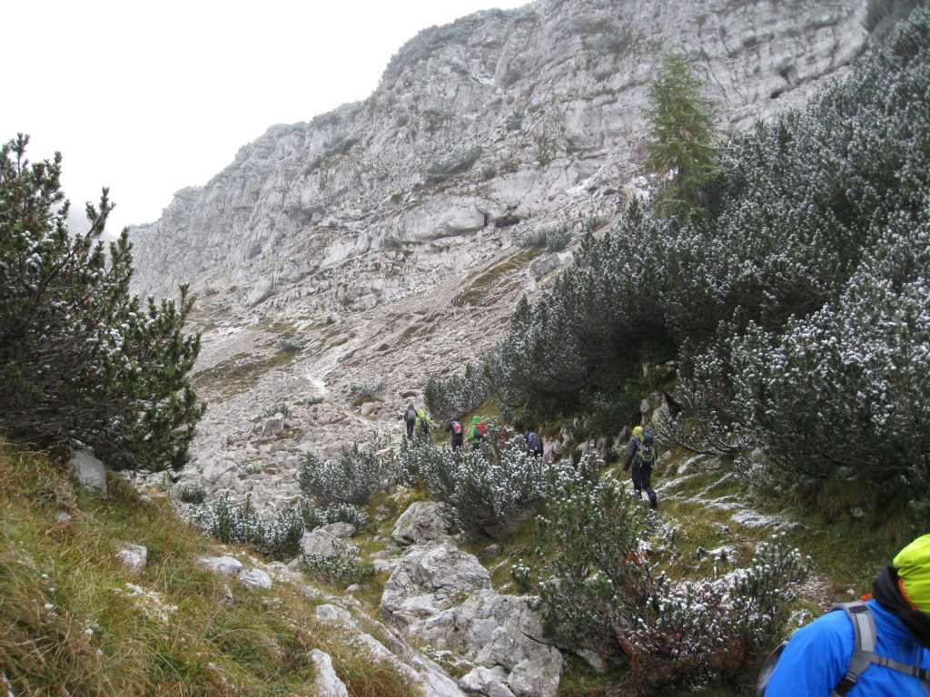 velika_5