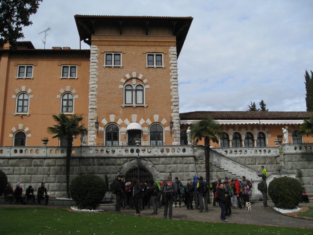 Collio_11