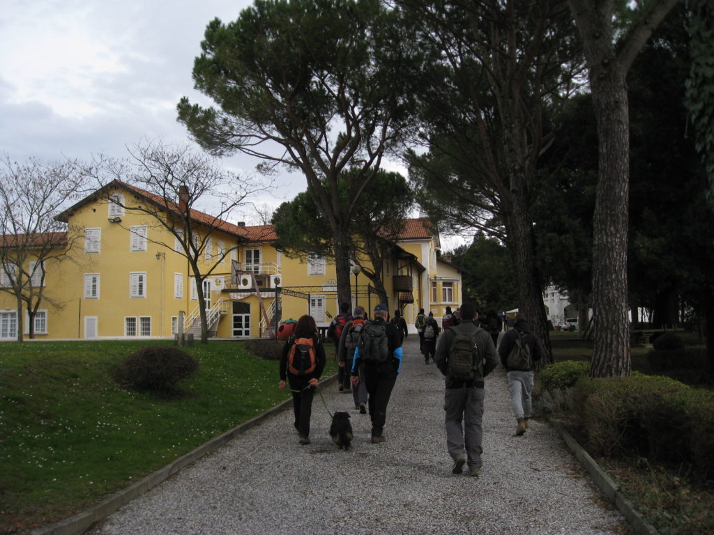 collio_16