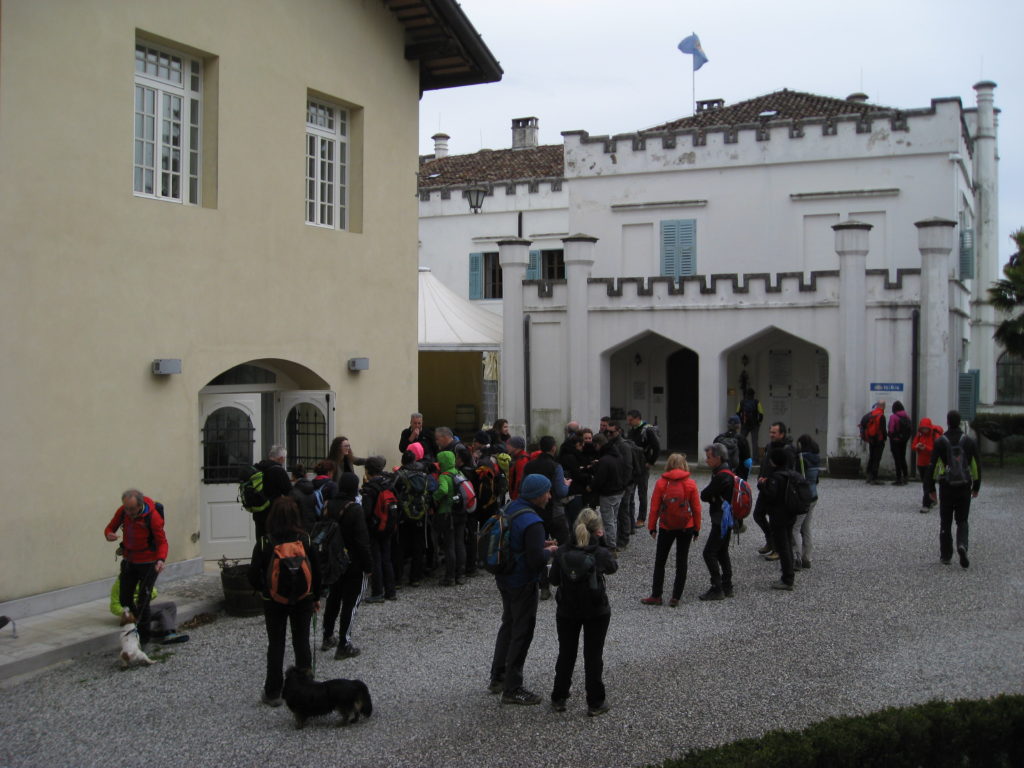 collio_17
