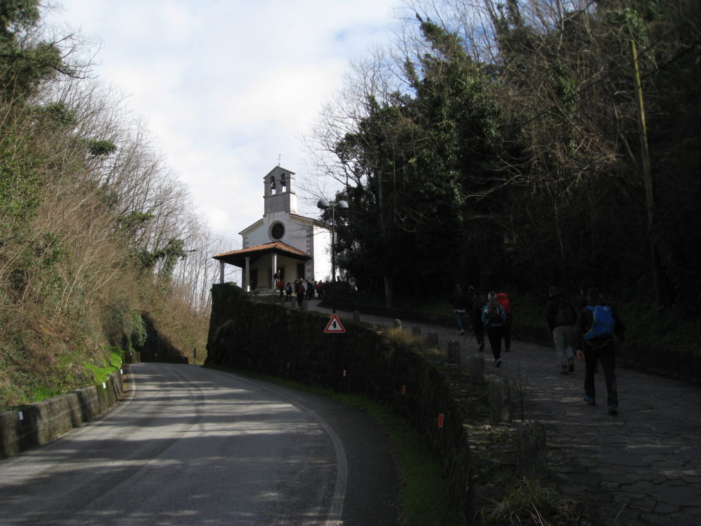 collio_4