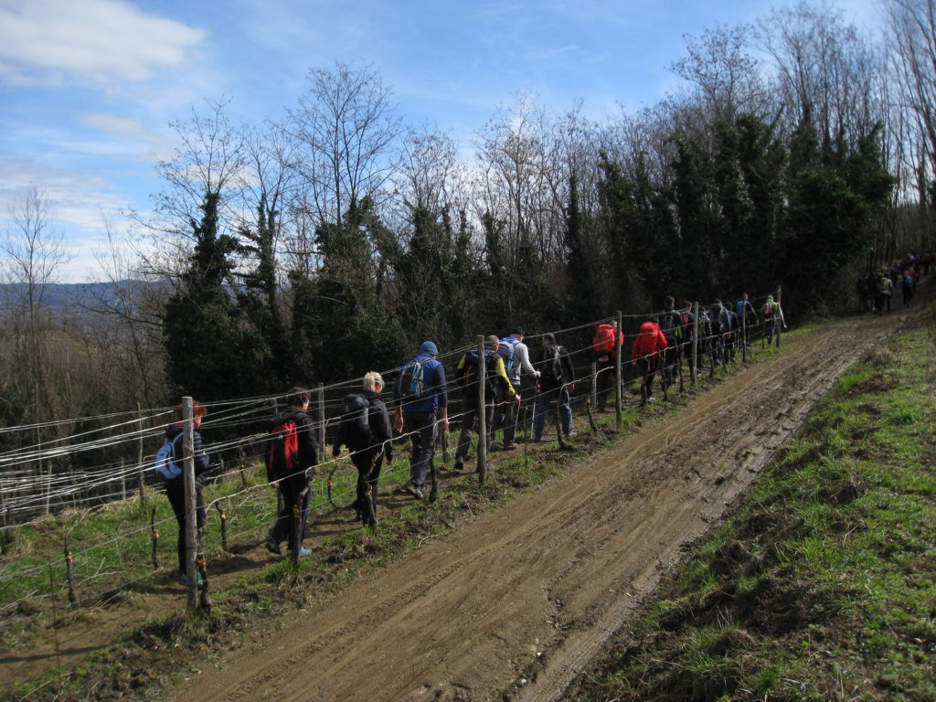 collio_8