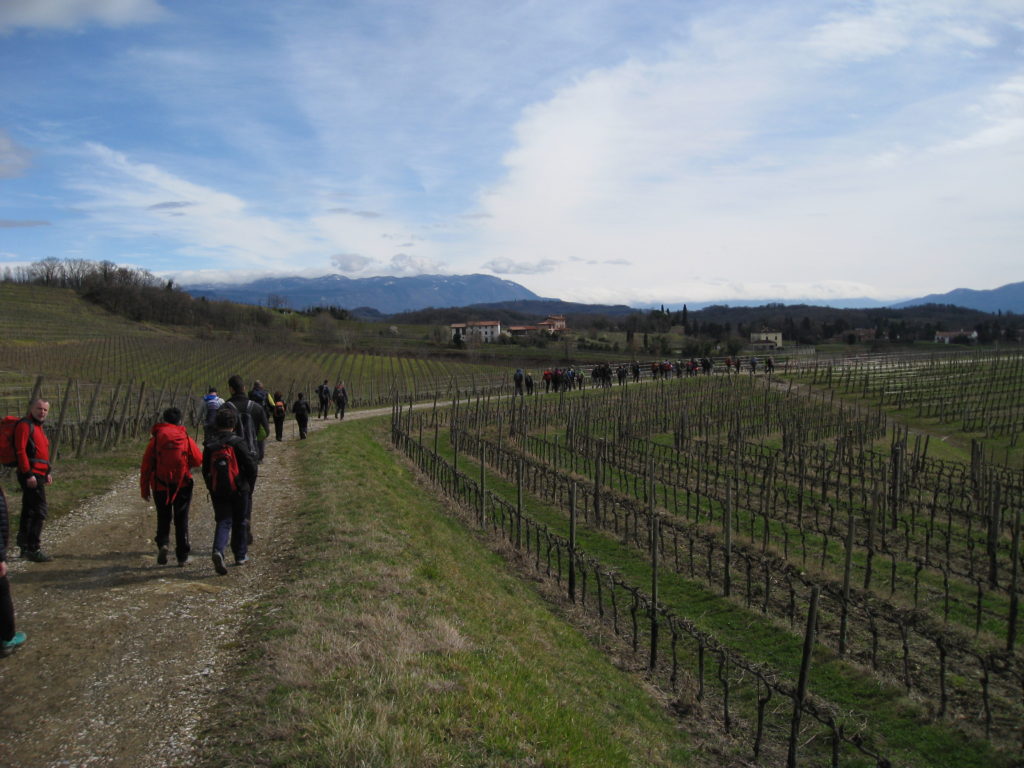 collio_9