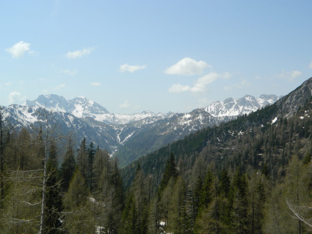 DSCN4412